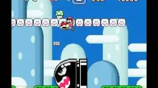 Snes9x Recording Test