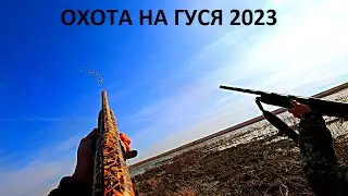 НАШЛИ ТЫСЯЧИ ГУСЕЙ НА ПОЛЕ!!! СУПЕР ОТКРЫТИЕ ОХОТЫ НА ГУСЯ. ТАКИХ НАЛЕТОВ ЕЩЕ НЕ БЫЛО / MAX HUNTER