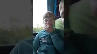 Мы едем из Воронежа нашли игрушичную черепаху под сидением