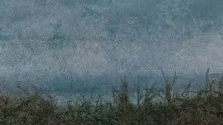 Nortas - Srovė