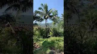 #explore #sepakung