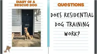 Does residential dog training (boarding and training) work? - Diary of a reactive dog