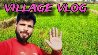village mini Vlog || 2025