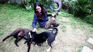 Chiều quê Tây Bắc - bình yên như về nhà - peaceful day in Ha Giang Vietnam Travel