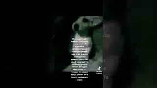 стоишь перед маминой кроватью потому что увидел стул с 492057295 кг вещей