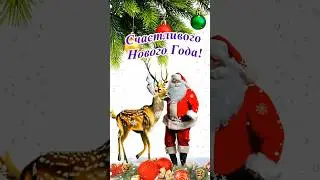 С наступающим Новым годом!  