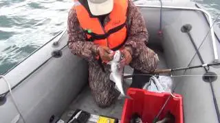 Рыбалка на Баренцевом море