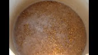 Самогон из ячменя без дрожжей