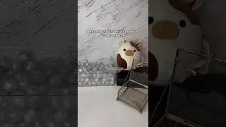 cutting fidgets 