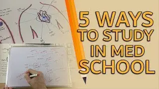 5 Ways to Study in Medical School | PostGradMedic