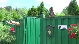 Сосны, можжевельник, гортензия, туи .