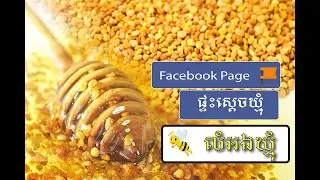 អត្ថប្រយោជន៍ របស់សត្វឃ្មុំនិងលំអងឃ្មុំ