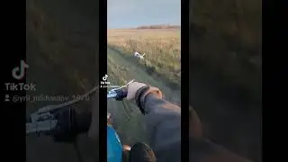 Осенняя прогулка на Иж Планета2 с Джеком Расселом