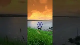 happy independence day 🇮🇳