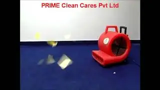 Prime Carpet drier blower