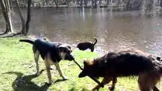 Любимая игра