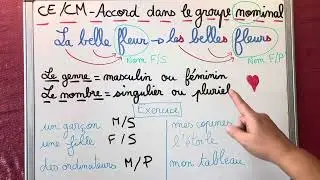 CE/CM - l’accord dans le groupe nominal@LescoursdeSandra