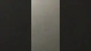 Ходит по потолку
