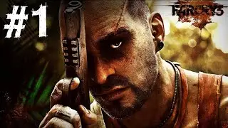 Far Cry 3 #1