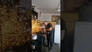 Самые лучшие очки. Бутылкиус Маскиус.