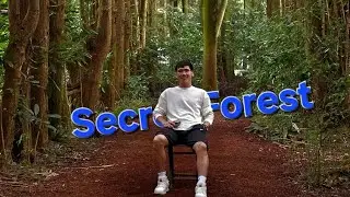 Secret Forest Jeju ........ #jejuisland 