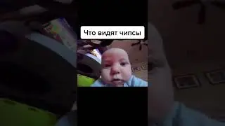 что видят чипсы: