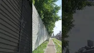 Тополиный пух, жара июнь в Москве на МЦК. 9 июня 2023