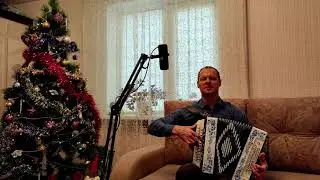 Вьюга - Песня под гармонь - Гармонист Николай Анатольевич