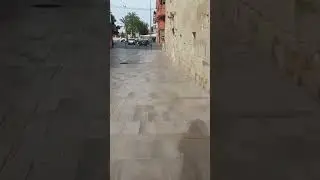 VISITA AL MONASTERIO DE LA SANTA FAZ POR UNA PROMESA