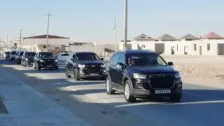 хоразим туй