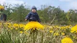 Инимдин Уулу Нурисламдын туулган күнү. День рождения у Нурислама.