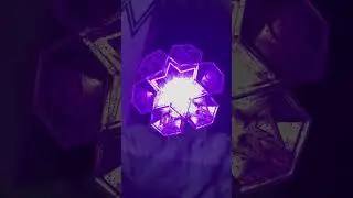 Wonho Official Light Stick