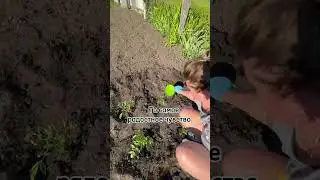 Всю радость видно по моему лицу 🫠