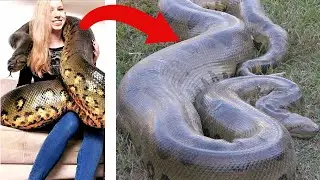 Donna MANGIATA da un SERPENTE