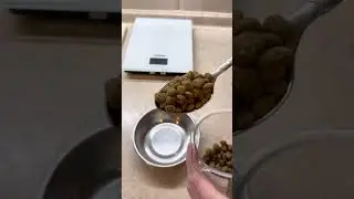 Средняя суточная норма сухого корма для кошки. 