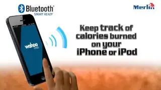 Merlin Heart Rate Monitor (Bluetooth регистратор сердечного ритма для устройств от Apple)