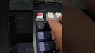 Switch Lube Gateron INK V2 Black, Lube Akko Silver, Stock Akko Silver, JWK T1