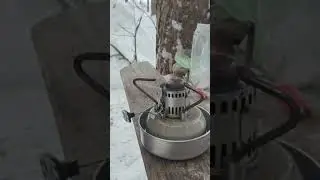 шмель 4 