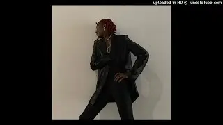[FREE] playboi carti x WLR type beat - 