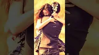 Мои мечты о тебе | music