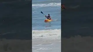 How to catch a shark 🦈  Happy Shark Week