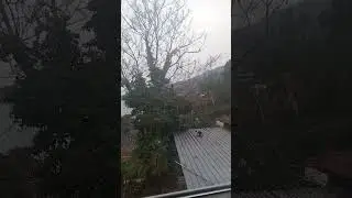 Гурзуф, неудачная охота😄