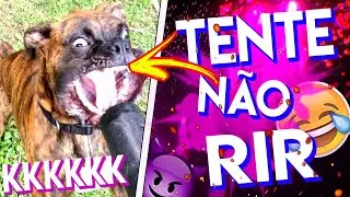 TENTE NÃO RIR KKKJK  Ft @SrWalt3R