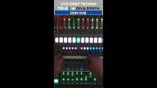 Live Techno + Deep Dub + TR-8S - The Diva 👉💥 #shorts