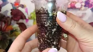 Хочу поделиться красотой!