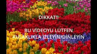 CENNETTEN ÇİÇEK BASS BOOSTED EARRAPE