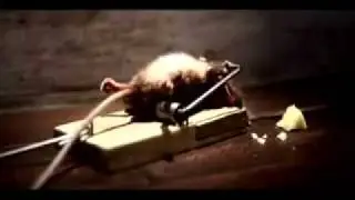 O Ratinho e o Queijo.flv