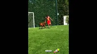 Players vs Dogs + Ronaldo 🤯
