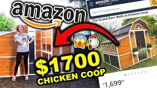 I SPENT $1700 ON AN AMAZON CHICKEN COOP!!! (i'm clucking insane)