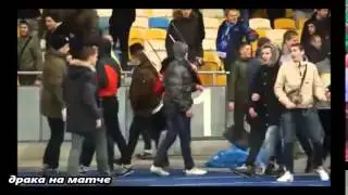 Драка на матче Динамо Генгам КИЕВ 26  02  2015